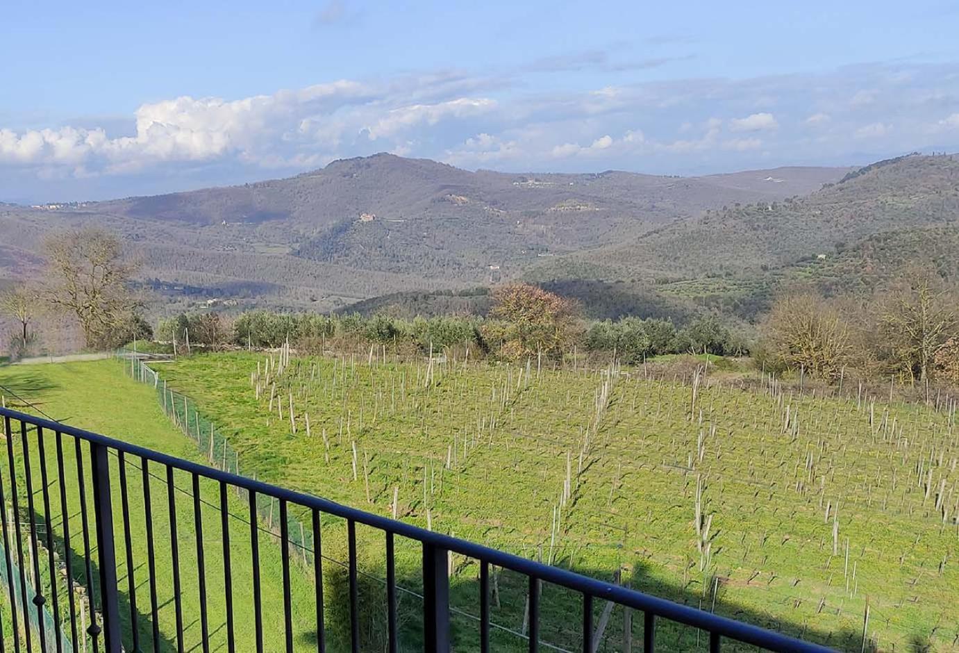 In Chianti. *